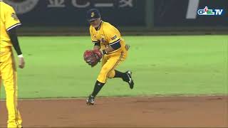 CPBL 2019 seasons 球員美技集Nice play highlight 王勝偉