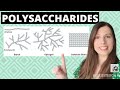 A-level Biology POLYSACCHARIDES Biological Molecules-Learn these carbohydrates structure + function