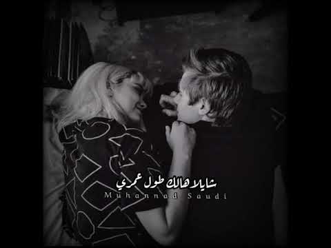 شايلاهالك طول عمري زيزي عادل