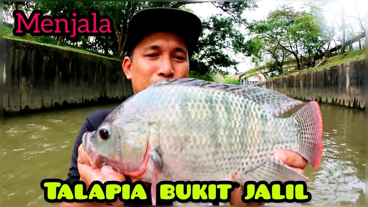 Sini Ada Banyak Puyu//Parit Bukit Jalil #gengdunia