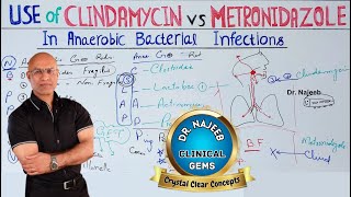 Clindamycin vs Metronidazole | Anaerobic Infection | Pharmacology