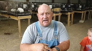 Why we must change our rabbit