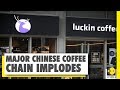 China's Luckin coffee collapses during COVID-19 crisis | Coronavirus News