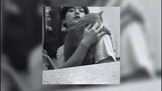 Download lagu Alec Benjamin - If We Have Each Other (sped up)