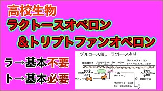 高校生物「ラクトースオペロン・トリプトファンオペロン」