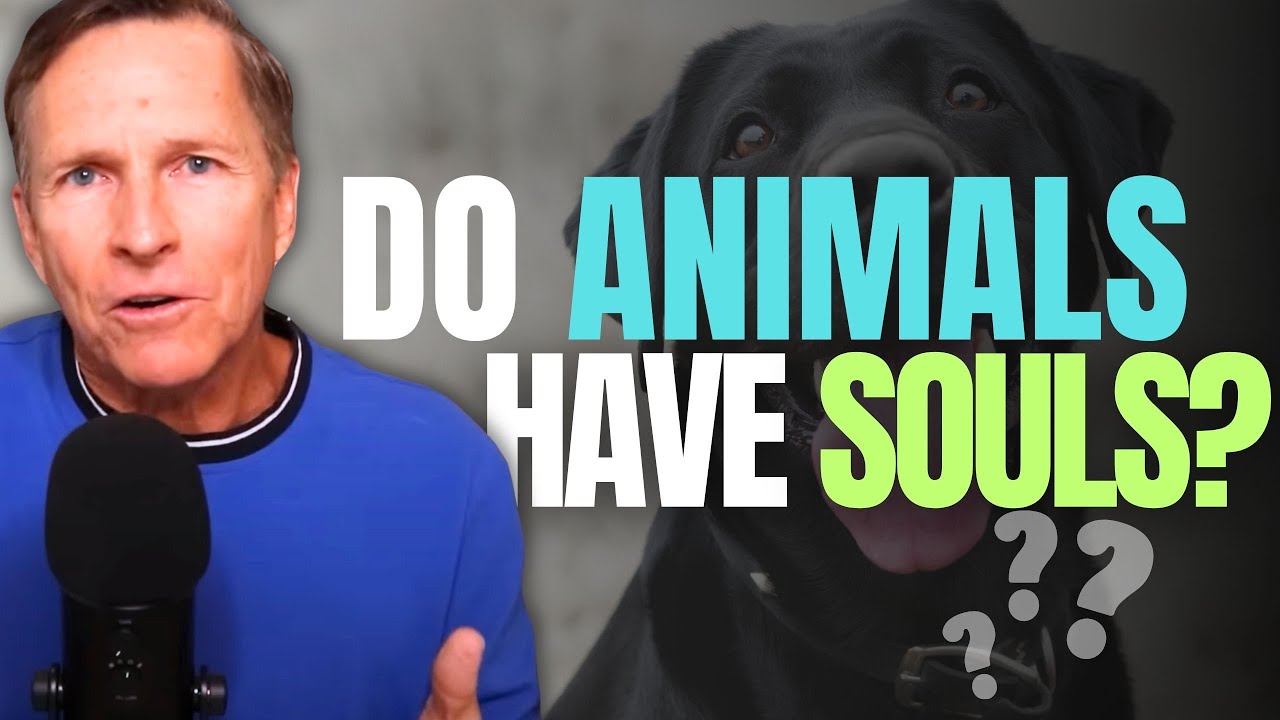 Do Animals Have Souls? What Near-Death Experiences Reveal | Imagine Heaven Podcast with John Burke
