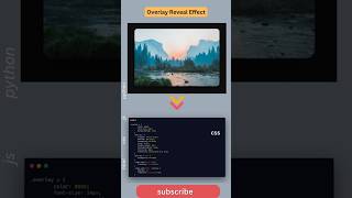 Smooth Image Overlay Reveal in Just 60 Seconds! 🚀