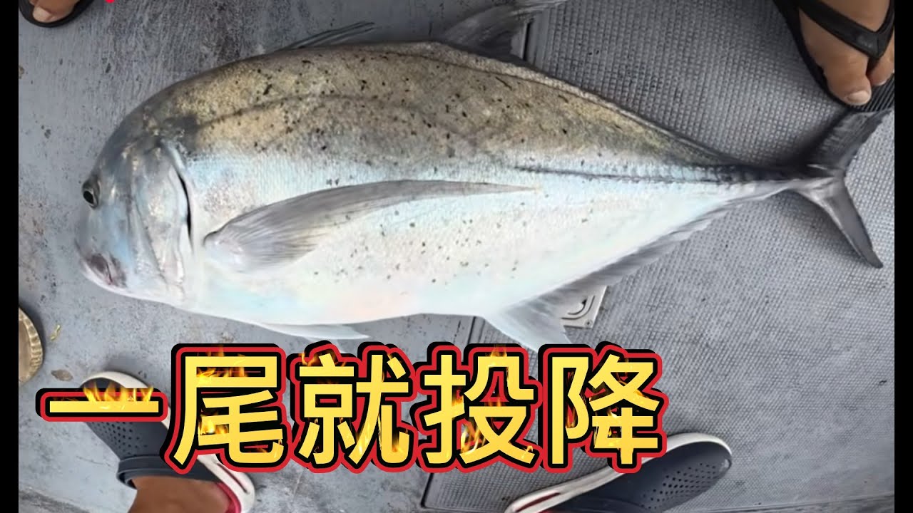 水面好多巴朗，那我就直接勾巴朗下去小魚換大魚
