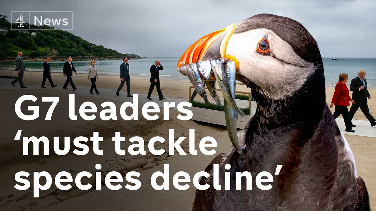 Tackle climate change and species destruction together, say scientists