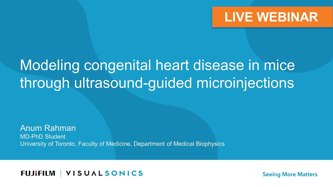March 2022: Modeling Congenital Heart Disease in Mice Through Ultrasound-Guided Microinjections