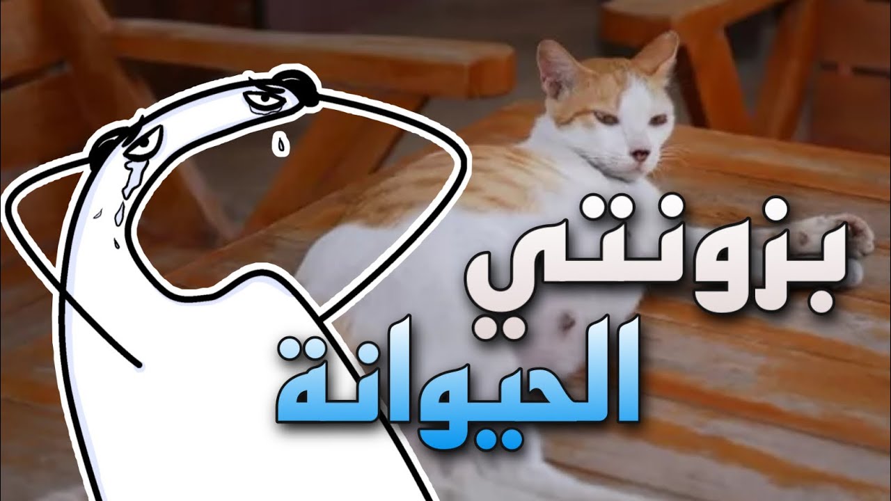 شنو قصة بزونتي الخائنه ؟ خانتني وي عتوي .. - YouTube