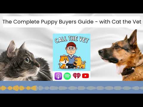 The Complete Puppy Buyers Guide - with Cat the Vet