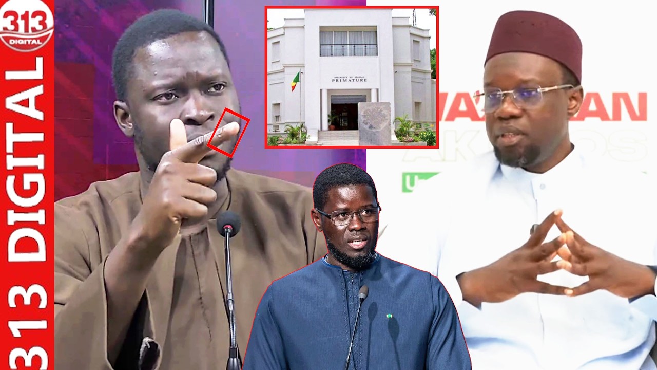 Sonko quitte primature et rejoint l’opposition: La réaction très ferme de Vito Gaye «Biss bou lolou