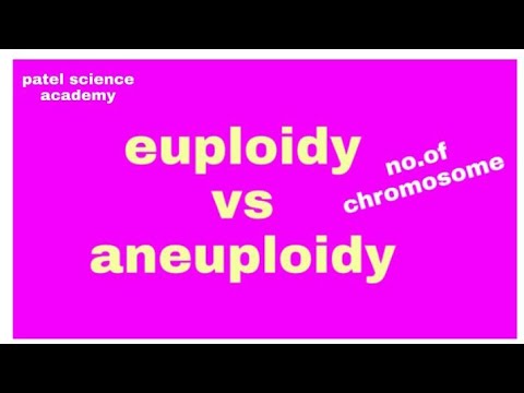 ploidy,euploidy and aneuploidy