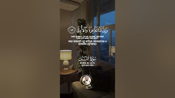 سورة الليل Surah Al-Lail #عبدالولي_الاركاني #abdulwali_alarkani