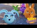 Sunny Bunnies | Sorpresa Sorpresa | Cartone animato divertente per i bambini | WildBrain