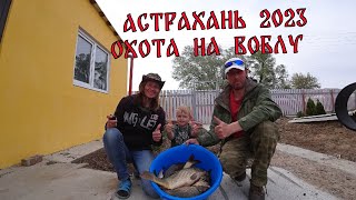 Астрахань ОХОТА НА ВОБЛУ 2023 #Korsaka_Fish