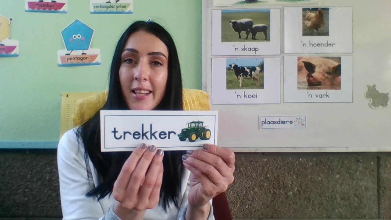 Grade 1 Afrikaans Farm animals
