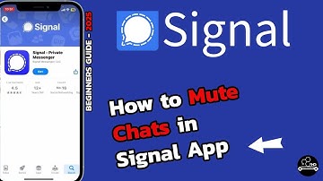 How to Mute Chats in Signal App (Step-by-Step)? Turn Off Chat Notifications in Signal