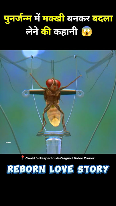 south movie makkhi full movie hindi dubbed #short #movie #hindimovie