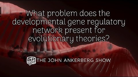 What problem does the developmental gene regulatory network present for evolutionary theories?