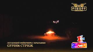 GFF0506 СТРИЖ