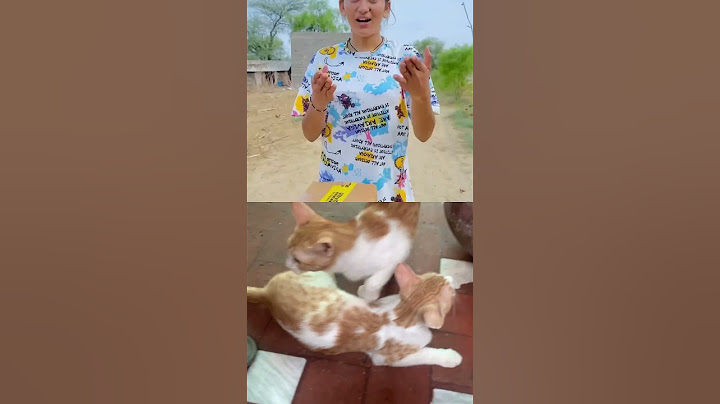 Rajesh Bhaiya Ko Mila 😱🍬🍭🍫🍟🍪😇