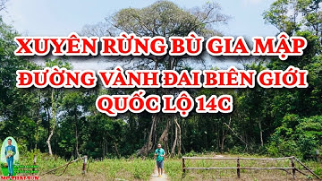 QUỐC LỘ 14C XUYÊN RỪNG BÙ GIA MẬP ĂN BỤI VÁ BÁNH XE GIỮA ĐƯỜNG VÀNH ĐAI BIÊN GIỚI  / MC THÁI SƠN