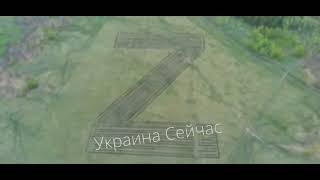 В Самарской области, на россии, высадили в форме «фашисткой» буквы «Z» 12 000 саженцев сосны