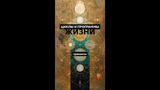 видео: Жизненные циклы и транзиты картинка: Жизненные циклы и транзиты