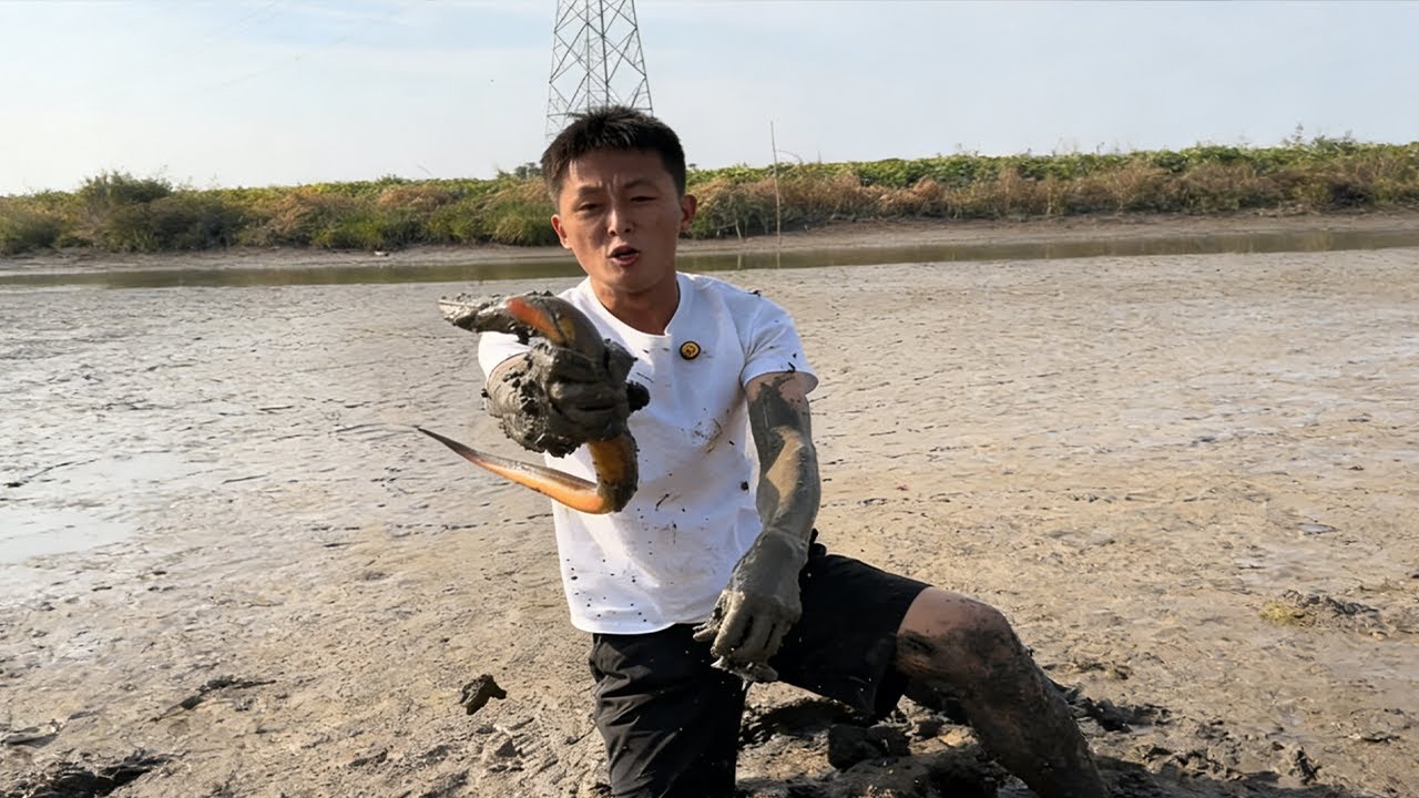 大爺今年養鱖魚虧了，我來這裏抓那麼多大黃鱔#fishing #大熱門