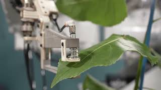 SMART Plant 1.0