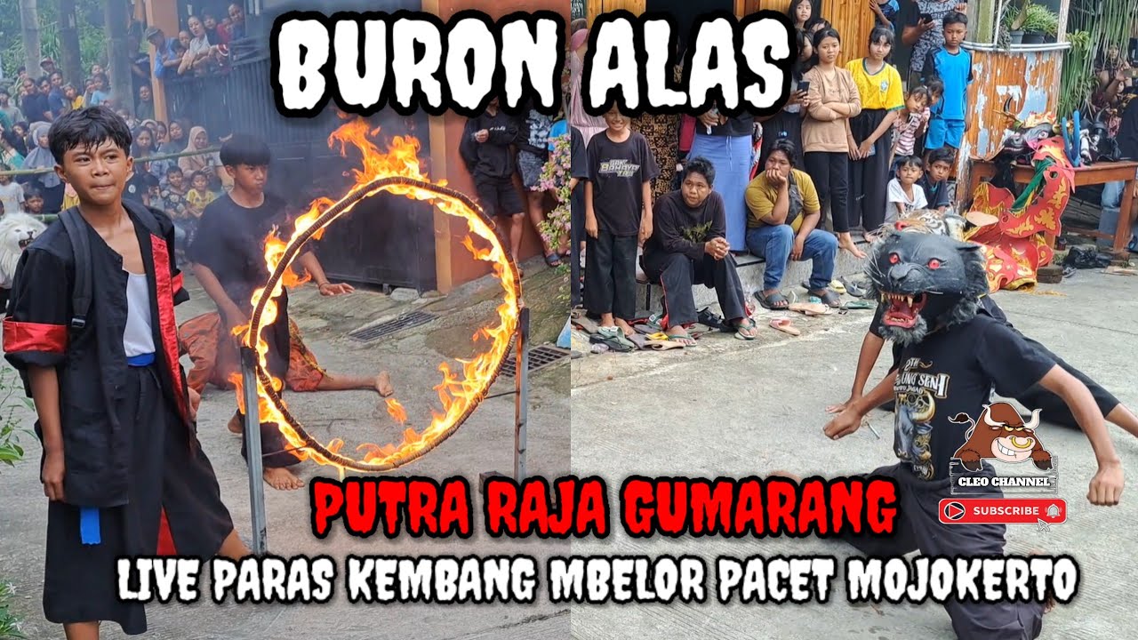 BURON ALAS ‼️ PUTRA RAJA GUMARANG LIVE PARAS KEMBANG MBELOR PACET MOJOKERTO
