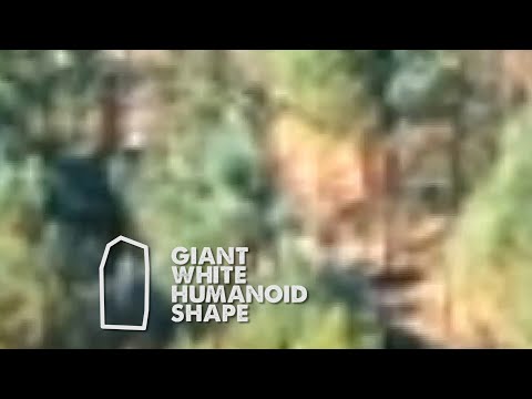 Gigantic White Humanoid Rips Tree Out Of The Ground (What is THIS???!!!)