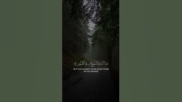ومايستوى الأعمى والبصير |  القارئ الشيخ ياسر الدوسري 😭😭