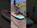 PADDLE BOARDING WITH 8 WEENS!? #dog #dachshund #shorts #viral