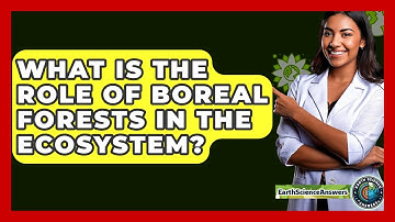 What Is The Role Of Boreal Forests In The Ecosystem? - Earth Science Answers
