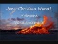 Midsommervisen jenschristian wandt