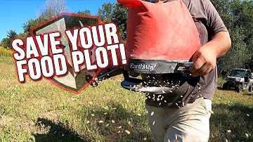 Last-Minute Tips to Save Your Food Plot!