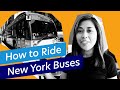 How to Ride the Bus in New York City