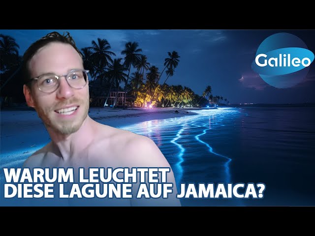 Glistening Waters: Insta-Hotspot auf Jamaica