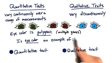 Quantitative vs Qualitative - Tales from the Genome