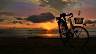 Bicycle on the beach at sunset background Велосипед ( Video Background Stock Footage Free )