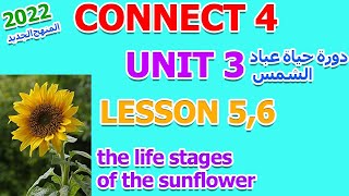 شرح الدرس الخامس والسادس من الوحدة الثالثة من الصف الرابع الابتدائى  connect 4