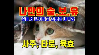 무엇이든 물어보셔 사주, 타로, 육효, 오늘의운세