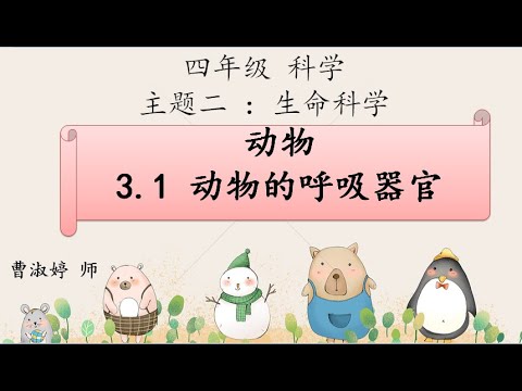 四年级科学 第三课：动物的呼吸器官