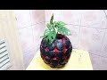 Cara Membuat Vas Bunga Bola Magma Dari semen || DIY Craft Cement Ideas