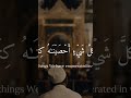 القران الكريم تلاوة عبد الرحمن مسعد 5دقايق
