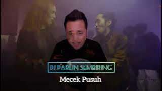 DJ Parlin Sembiring  - Mecek Pusuh