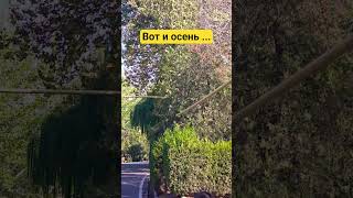 🍁осень🍂ханабад